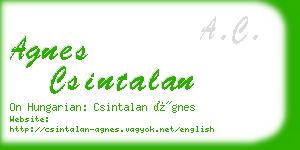 agnes csintalan business card